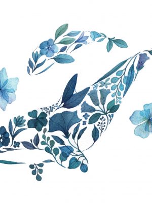 Orca Garden - 8.5" x 11" Print